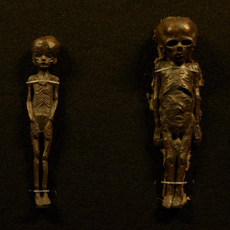 古代エジプトの死生観とミイラ