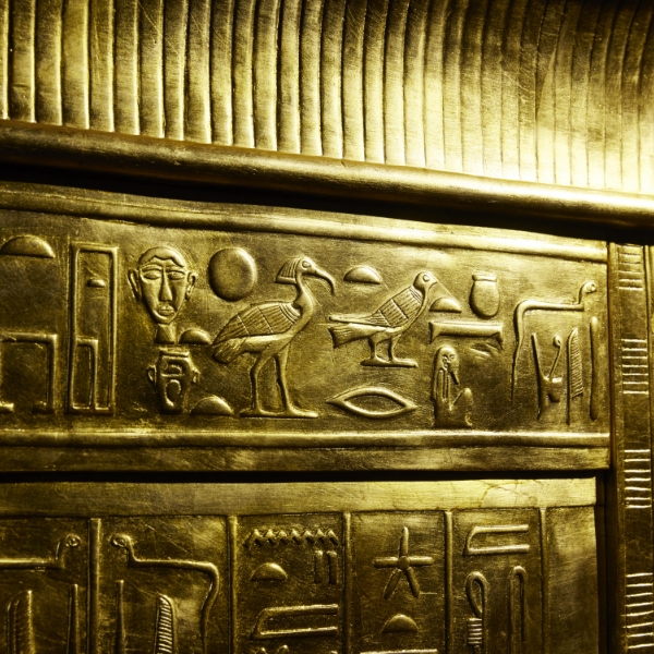 至近距離で黄金のリアルな質感を体感