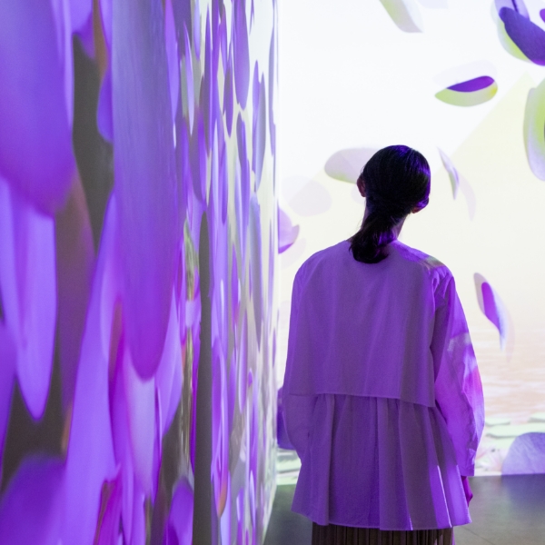 音と映像でツタンカーメンの世界へ没入